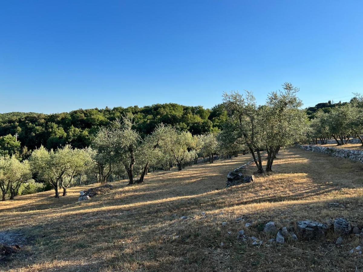 Casa Vanina In Toscana Villa Castellina in Chianti Eksteriør billede